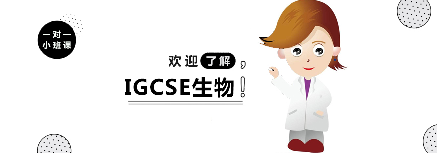 上海IGCSE生物辅导班