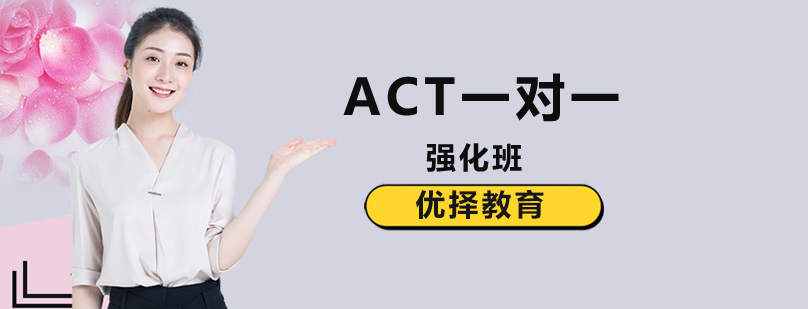 北京ACT一对一培训机构,北京ACT一对一培训学校,北京ACT一对一培训
