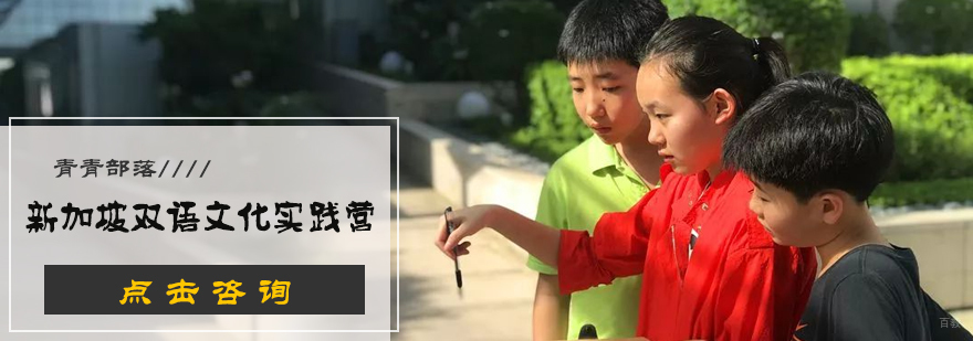 新加坡双语文化实践营