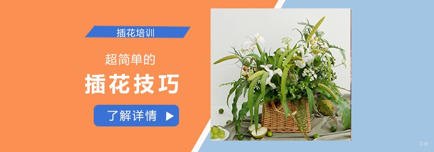 专业插花技巧演示