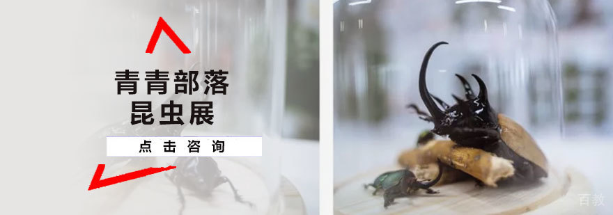 青青部落昆虫展