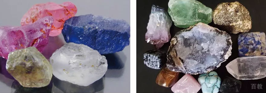 青青部落昆虫展