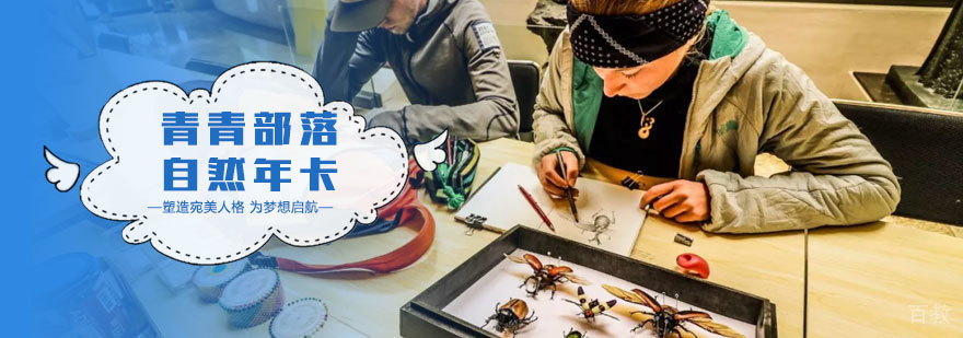 青青部落自然年卡