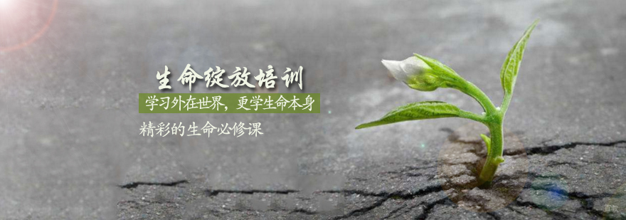 生命绽放培训班