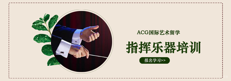 指挥乐器专业培训课程