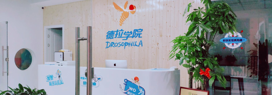 成都德拉学院