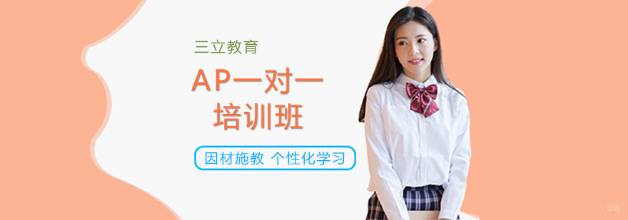 AP一对一课堂教学实景