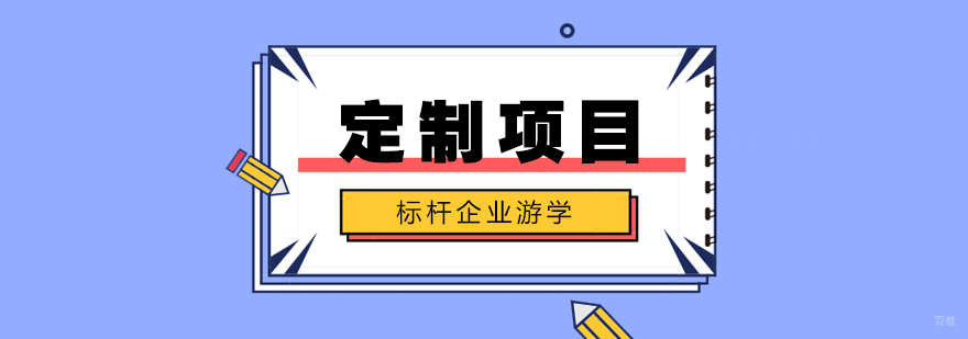 标杆企业游学定制案例