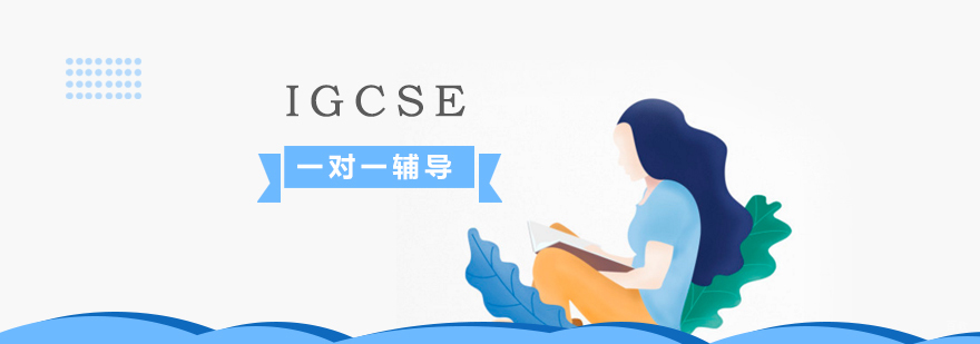 IGCSE课程定制化辅导