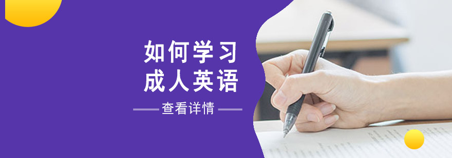 成人英语学习效果对比