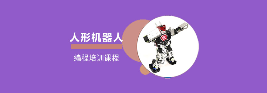 重庆人形机器人编程培训