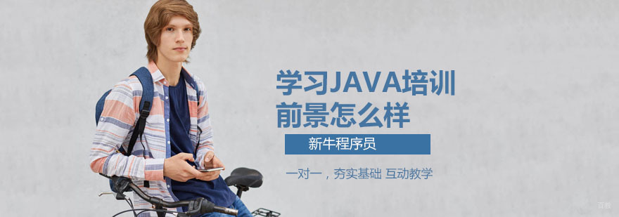 深圳新牛程序员