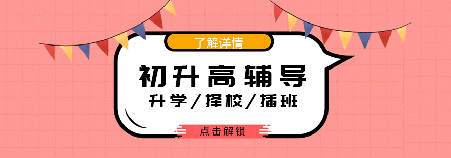 上海初升高升学择校插班一站式教育规划