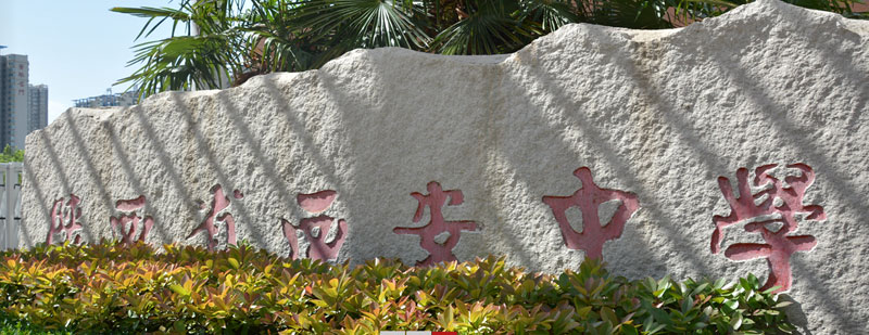 中学国际部学校