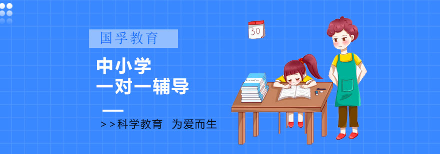 深圳中小学一对一辅导