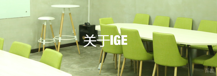 天津IGE点燃教育-VE口语培训机构