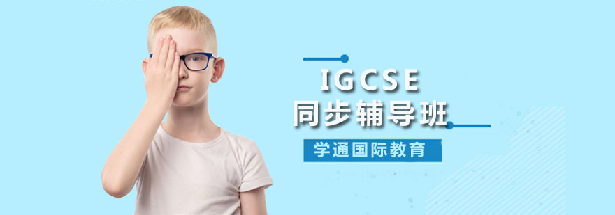 广州IGCSE同步辅导班