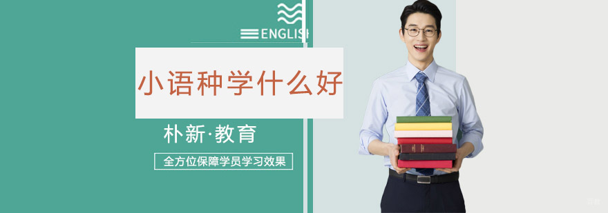 多语种学习规划指南