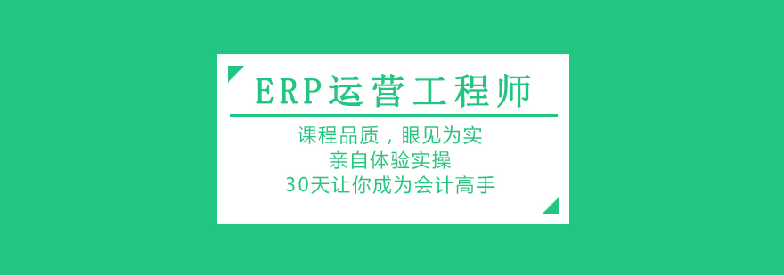 ERP运营工程师