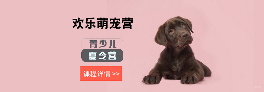 欢乐萌宠营
