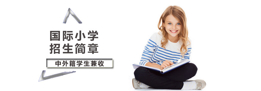 国际小学培训