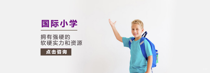 国际小学培训