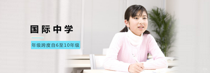 国际中学培训