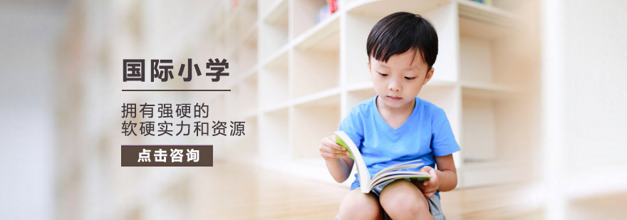 国际小学培训