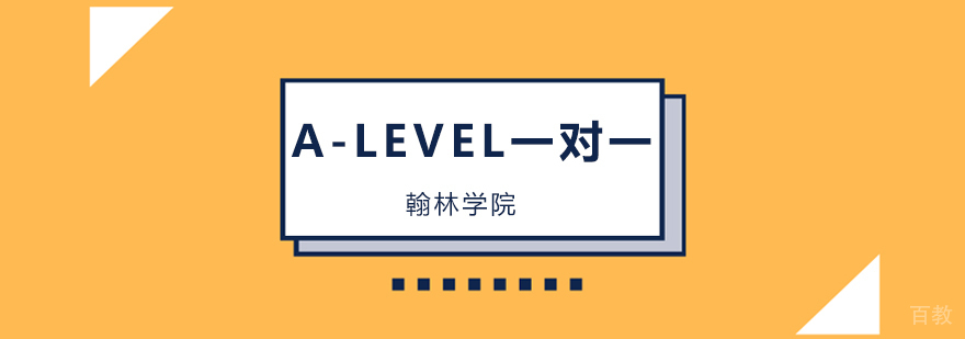 A-LEVEL个性化辅导课程