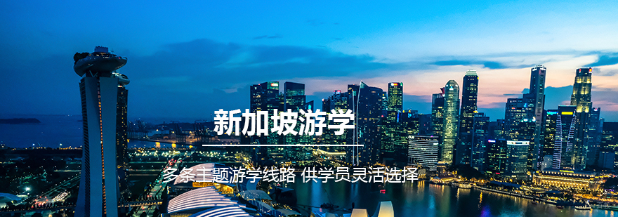 新加坡游学营