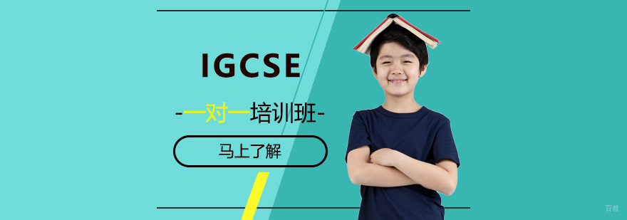 IGCSE课程辅导场景
