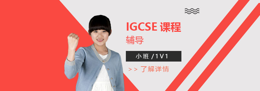 上海IGCSE一对一辅导
