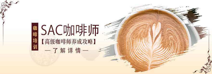 SCA认证咖啡培训课堂