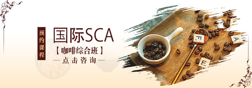 国际SCA咖啡综合班