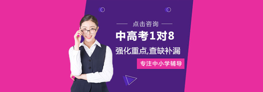 中高考1对8培训