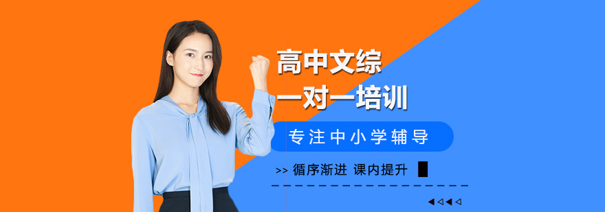 高中文综一对一培训