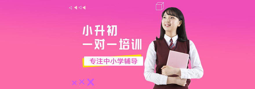 小升初一对一培训