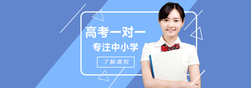 高考一对一培训