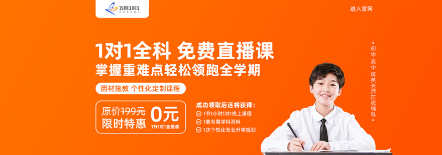中小学在线一对一培训