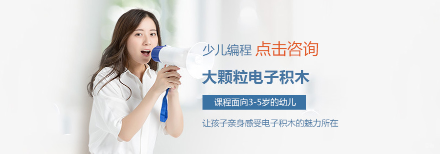 厦门电子积木课程