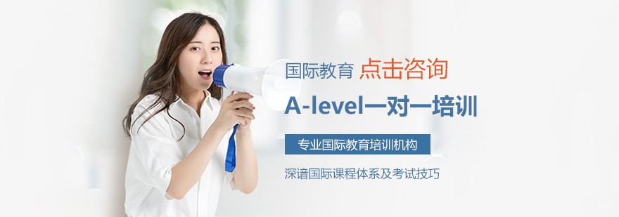 A-level一对一培训
