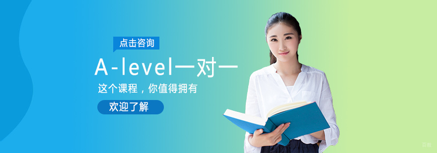 A-level一对一培训