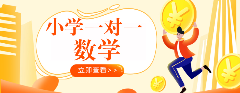 成都小学一对一数学培训
