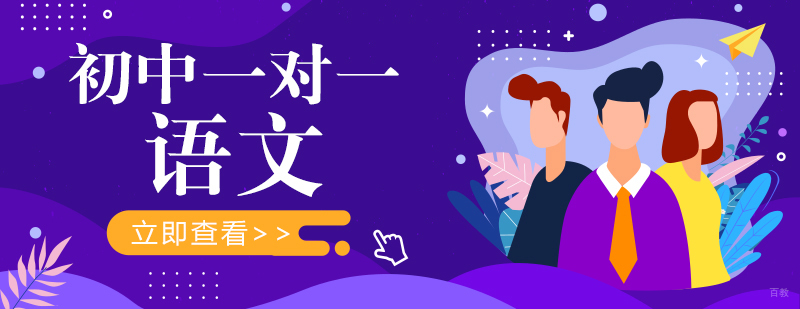 成都初中一对一语文培训班