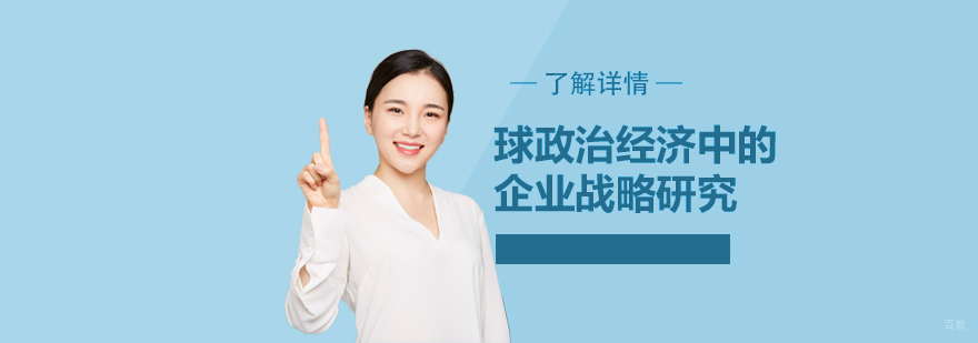 全球政治经济研究项目