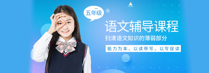 五年级语文培训