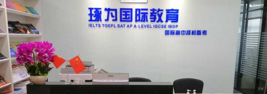 国际教育专家团队