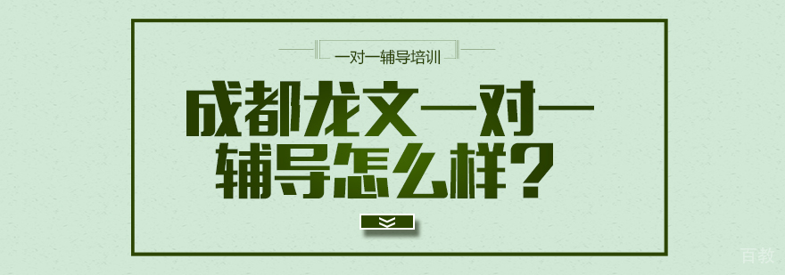 成都龙文一对一辅导怎么样？