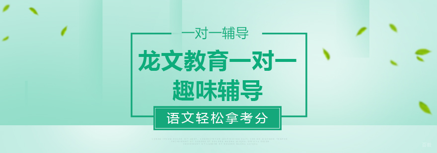 成都语文一对一辅导-成都市一对一语文辅导