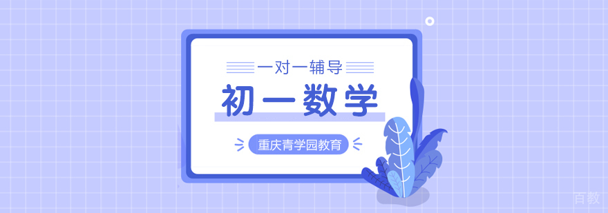 初一数学辅导课程